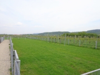 262m² Freizeitgarten in Furth/Palt