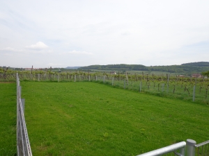Garten Nr.12 - Lindengasse, 3511 Furth